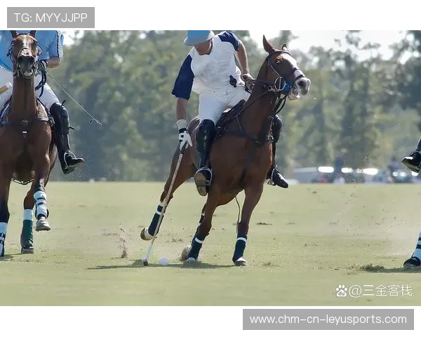 瑞士马术协会设立“Schwingfest”奖学金，支持传统马术研究。，马术瑞典